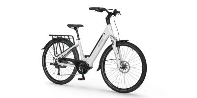 ECOBIKE LX 100
